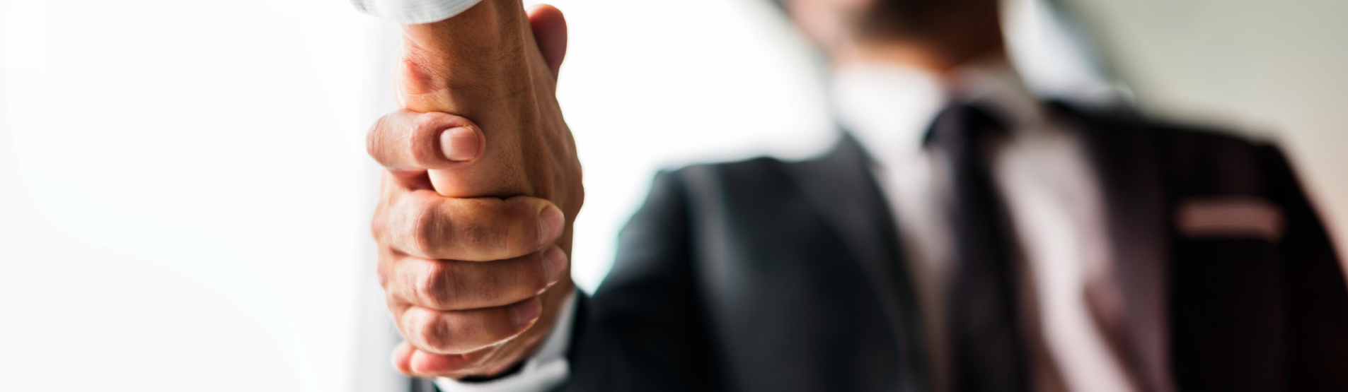 Tudo o que a Pinotti pode fazer pela sua empresa: conheça nossos serviços contábeis completos
